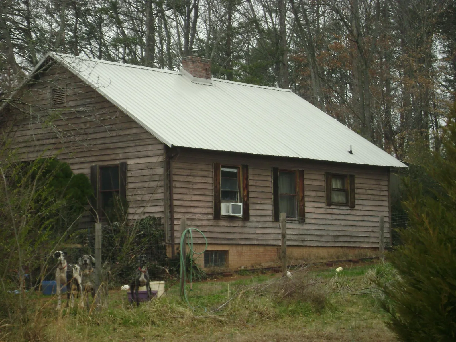 White metal roof on an old wood sided farmhouse, from a Asphalt Shingle Roof Repair job in Faxon